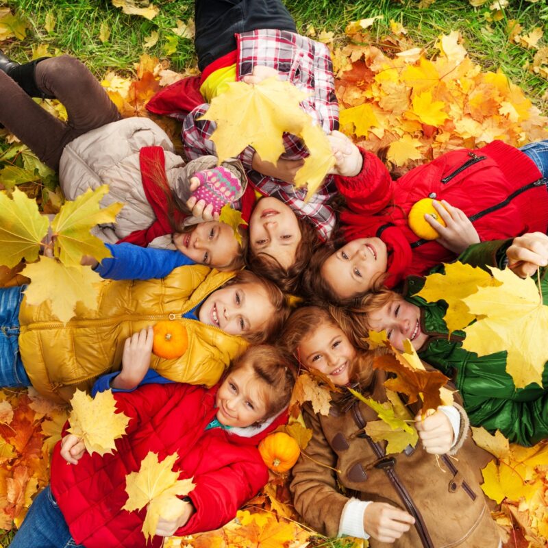 Sept enfants sont couché dans les feuilles mortes et regardent la caméra en souriant.