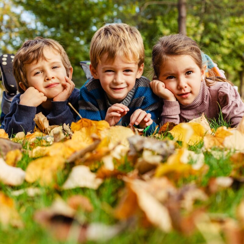 Trois enfants sont couché dans l'herbe et les feuilles mortes. Ils regardent la caméra en souriant.